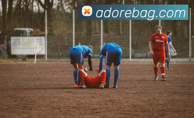 ag百家乐服务体系